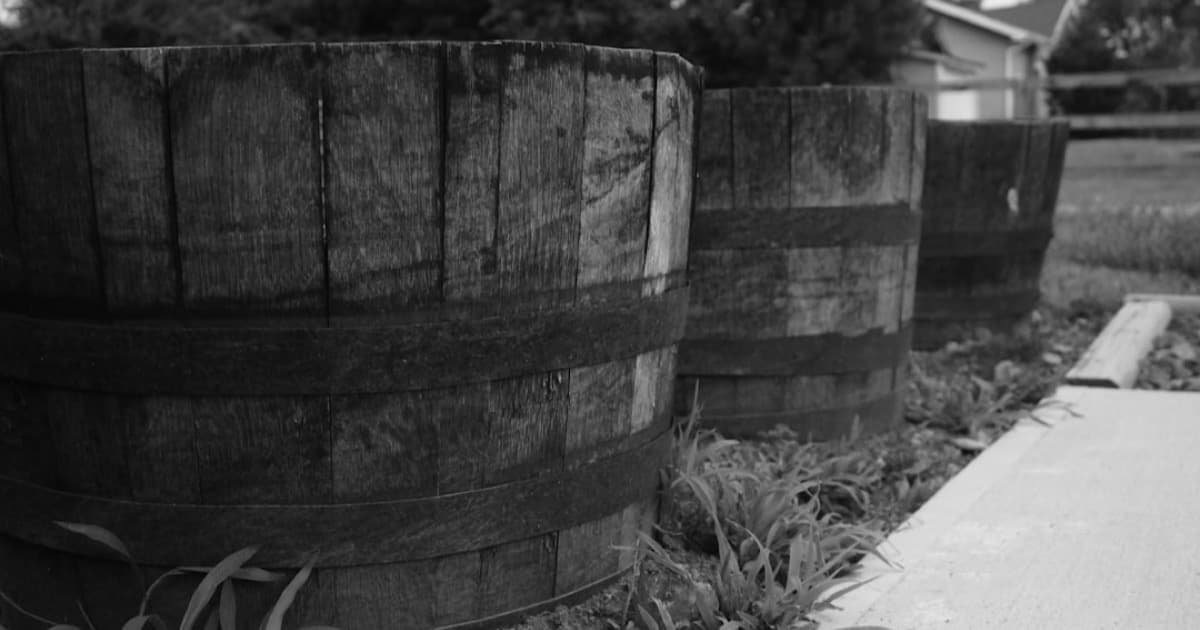 Regenwassernutzung – Kosten, Vorteile und Berechnung für Ihr Haus